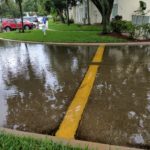 Floridians Turn to Flood Insurance after Record-Breaking Rainfall
